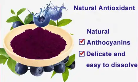 Best Blueberry Anthocyanin Extract for Antioxidant Power